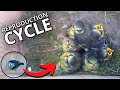 Inside The Nest Blue Tit S Full Breeding Cycle