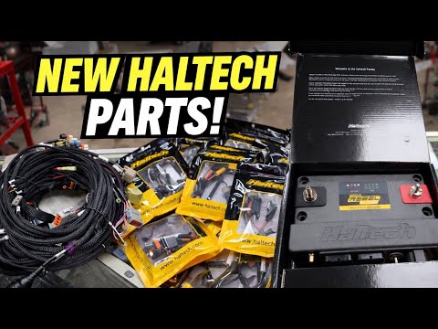 We ordered the HALTECH REBEL LS kit and WOW its amazing!