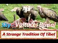 Sky-Vultures Burial - A Strange Tradition In Tibet - 18+ Only