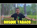 BOSQUE TABACO, TAMBLA LEMPIRA HONDURAS