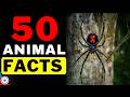 50 Animal Facts That Prove Nature Is Insane