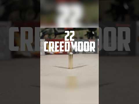 Hornady NEW 2025 Offerings in 25 caliber!