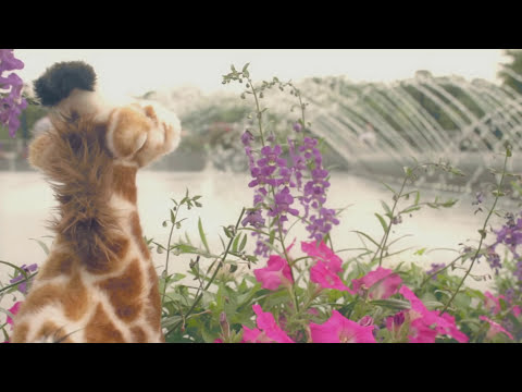 Airospace - Last Running Statement (Music Video)