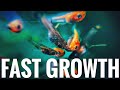 GUPPY FRY FAST GROWTH FOOD