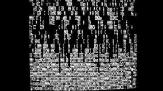 Fast Computer