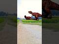 Dinosaurs Mating Dinosaurs Mating Shortsviral Shortsfeed Trending Short