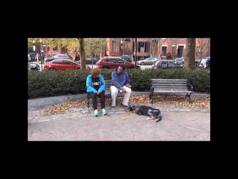 Beauregard in Boston