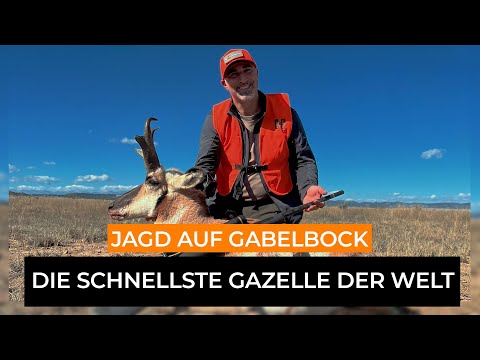 savage-arms: Ein phänomenales Erlebnis bei der Jagd auf Gabelantilopen in Colorado mit Savage, Hornady und Leupold