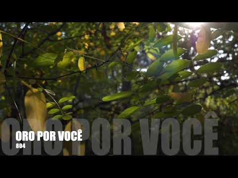 Oração 804