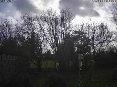 2022-02-19 Webcam II