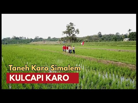 Taneh Karo Simalem  | Instrumen Kulcapi