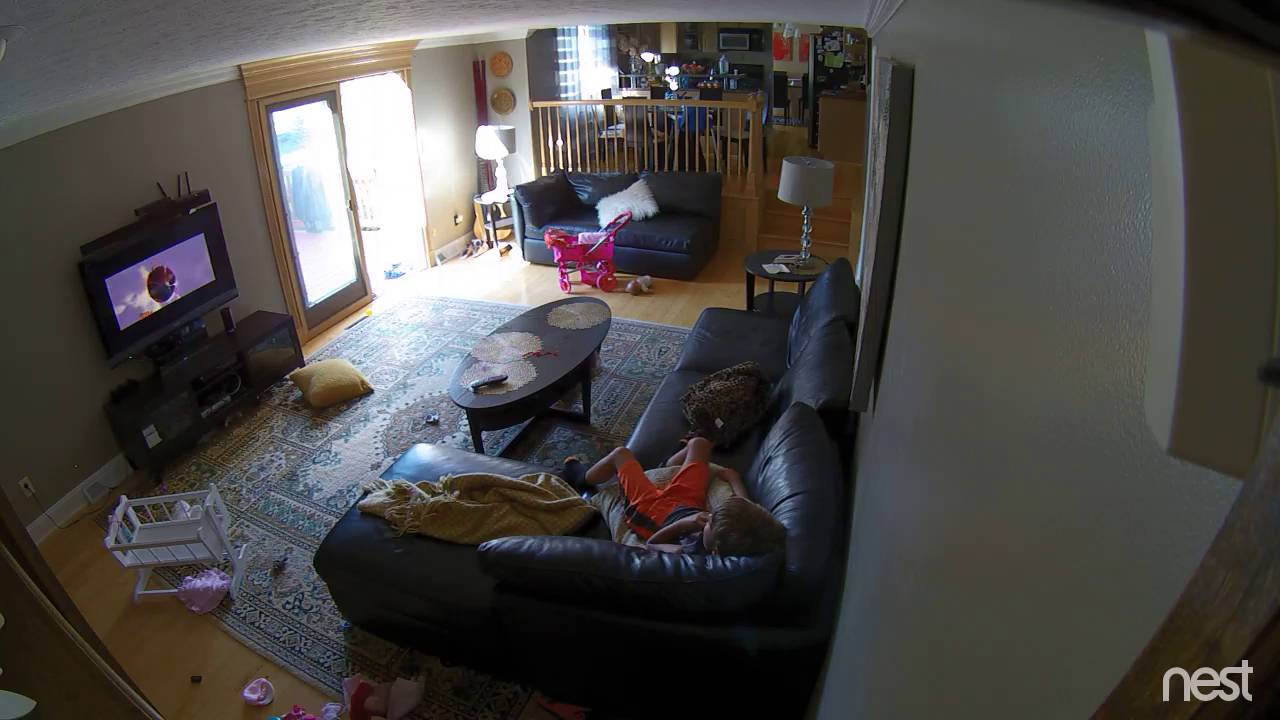 Amazing!!! Crazy DEER crashes into a living room wall