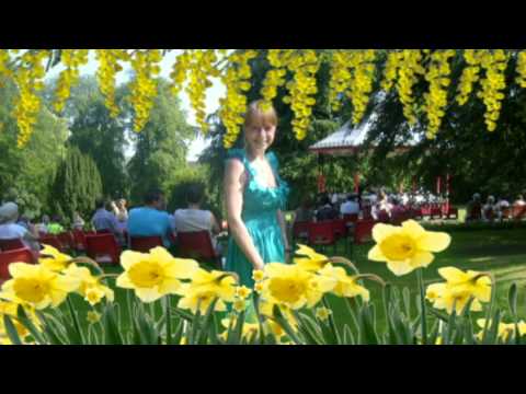 David Alexander sings if i only time