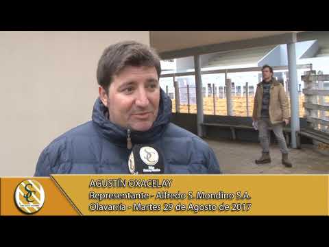 29-08-17 Nota a Agustín Oxacelay - Alfredo S Mondino - Olavarria