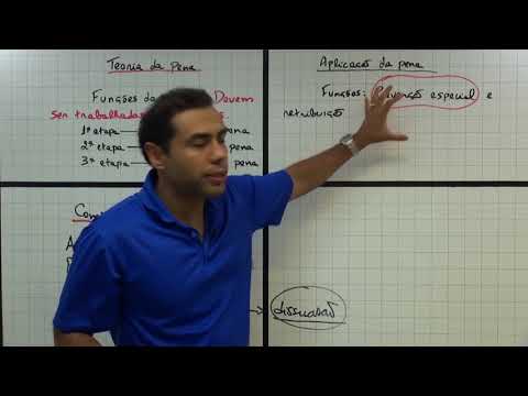 PREVENÇÃO ESPECIAL NEGATIVA - Prof. Vinícius Reis