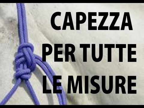 Capezza fai da te la formula per tutte le taglie. Anche per pony.