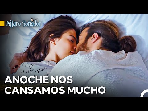 La Noche Romántica de Can y Sanem - Pájaro Soñador