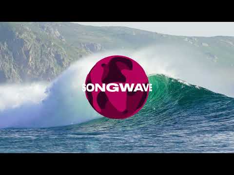 Tarante Groove Machine - Brazilero