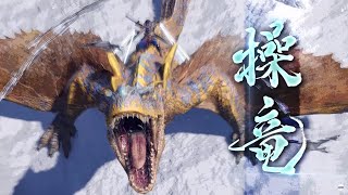 [閒聊] 如果魔物也加入DEI元素的話？