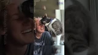 Press play and take the challenge NOW! 🎬🐾 #funnyJobs #FunJobs #FunnyAnimals