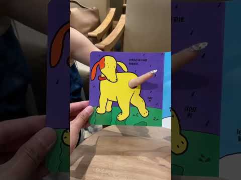 This is the real hole book. It's so interesting.