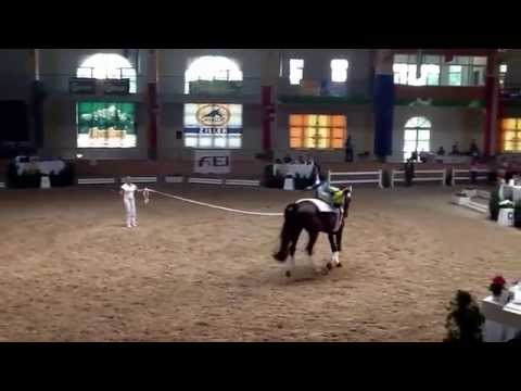 CVIO Stadl Paura 2014 - Jasmin Gipperich - Freestyle