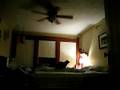 Cat Vs Bat Round 1