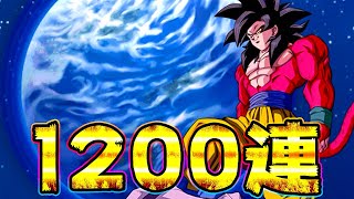 ドッカンバトル 神コロさんの名推理 最強ガチャ演出の謎 Gtガチャ10連 Dragon Ball Z Dokkan Battle موقع ويب حيث يمكنك مشاهدة مقاطع فيديو موسيقية مجانية ドッカンバトル 神コロさんの名推理 最強ガチャ演出の謎 Gtガチャ10連 Dragon Ball Z Dokkan Battle موقع ويب حيث يمكنك مشاهدة مقاطع فيديو موسيقية مجانية