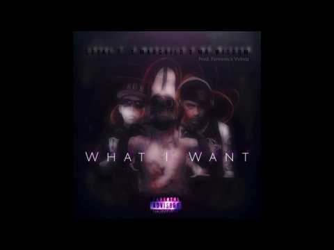 Loyal'T' x Madchild x Mr.Wisdom - What I Want (prod. Fantastick Vylintz)