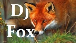 DJ Fox- Created logo