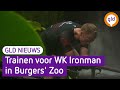 GLD Nieuws 11 augustus 2022