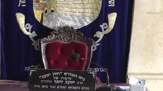 בית המדרש חזון יעקב • יום רביעי ח' אדר תשפ'ו (בית הכנסת מוסאיוף) - התמונה מוצגת ישירות מתוך אתר האינטרנט יוטיוב. זכויות היוצרים בתמונה שייכות ליוצרה. קישור קרדיט למקור התוכן נמצא בתוך דף הסרטון