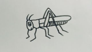 How to draw a Grasshopper//Easy step by step//Easy and simple drawing for kids.