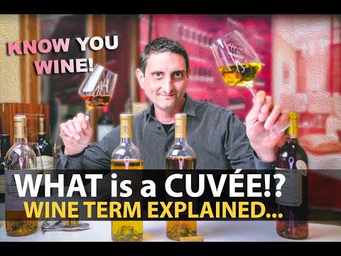 What is a Cuvée? Wine Term Explained | Let's NOT STOP Sharing about VINO