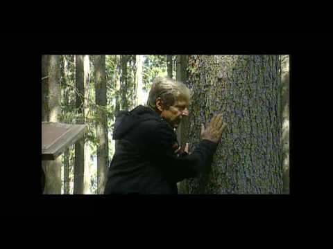 Uto Ughi e gli abeti della Val di Fiemme