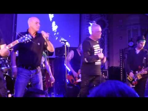 Steve Ignorant with Paranoid Visions - Where is Love?