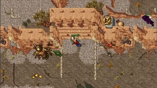 [Tibia] [321 Rp] Hunting Choking Fears [South of roshamuul dp] Profit hunt