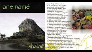 anemamé-CONTROTEMPO (Di Toro/D'Angelo)-Album:SHALOM