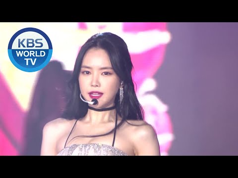 Apink(에이핑크) - INTRO + %%(Eung Eung) [2019 KBS Song Festival / 2019.12.27]