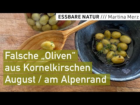 Köstliche falsche "Oliven" aus wilden Kornelkirschen // Täuschend echte Appetizer aus Wildfrüchten