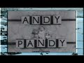 ANDY PANDY