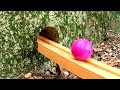 Magic Marble Run The Hole Stone
