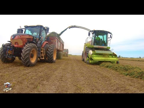 Chopping 1st cutting alfalfa near Versailles Ohio