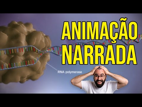 Animation of transcription and translation | Narration by Prof. Gui