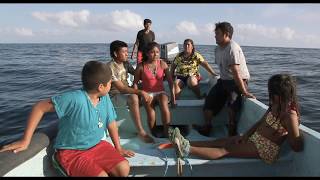 TRAILER PACIFICO