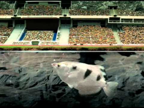 download lagu mp3 mp4 434 tfile ru, download mp3 434 tfile ru free downloadn, video klip 434 tfile ru