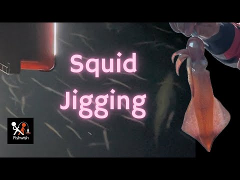 What can you catch in Portland Harbour?