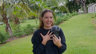 ASMR in Nature ~ Whispering, Tapping & Scratching