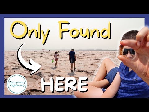 image-Can you swim at Great Salt Plains State Park?