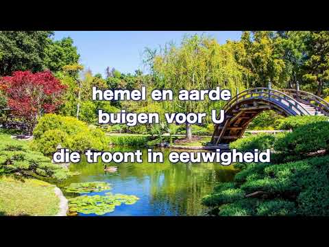 Opwekking 511 Heer van genade